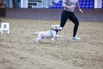 SBM_005908