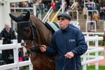 Race 3 portfolio
