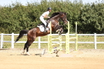 SBM_007955