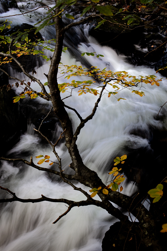 The Cornaa River