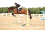 SBM_026970