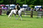 SBM_03813