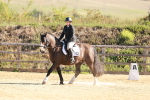 SBM_009264