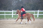 SBM_003343