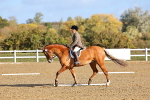 SBM_000403