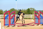 SBM_006734