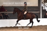 BPP_9908