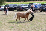 WJ6_6942