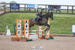 164-Samantha.Lewis-KNOCKRIGG.BRONCO portfolio