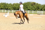 SBM_008536