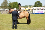 SBM_07095
