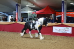 SBM_09879