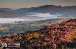 Misty morning, Llyn Trawsfynydd