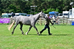 SBM_03339