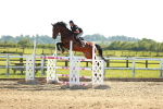 SBM_003352
