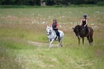 Camera 1 Gallops portfolio