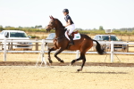 SBM_002566