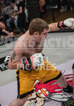 FULL BOAR CAGE FIGHTING 2014 portfolio