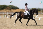 SBM_022687