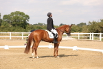 SBM_002037