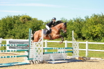 SBM_002684