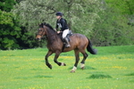 20260503-5636