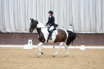 SBM_002993