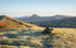 Church Stretton from Callow