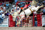3HRodeo7-19-25_CFD_02194_