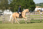 SBM_10247
