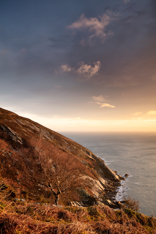 Down Dhoon Way