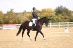 SBM_009540
