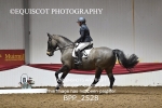 BPP_2528