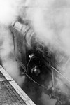 Steam and steel 2