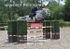 BPP_1156