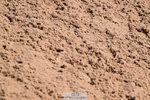 260425-143122-16100