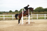SBM_004733