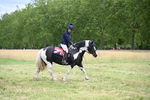 WJ6_2424