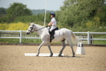 SBM_009577