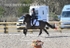 BPP_9906