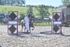 BPP_8752