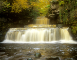 Cotter Force