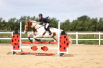 SBM_007262