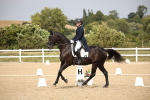 SBM_020418