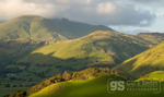 Evening light, Dysynni valley