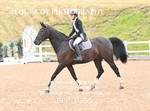 BPP_0355