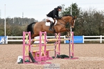 Cls 06 Foxhunter & 1.20m Open portfolio