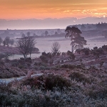 Landscape-016