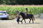 WJ6_7971