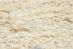 250719A-151756-06760